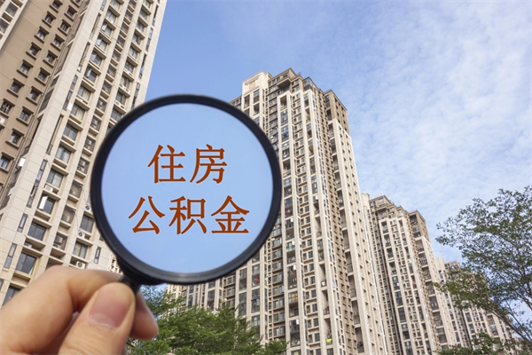 乐陵个人公积金去哪儿取（住房公积金个人到哪里提取）